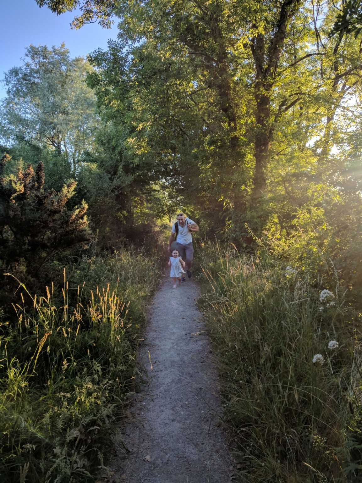 Adult and young child walking together along a woodland path in evening light.